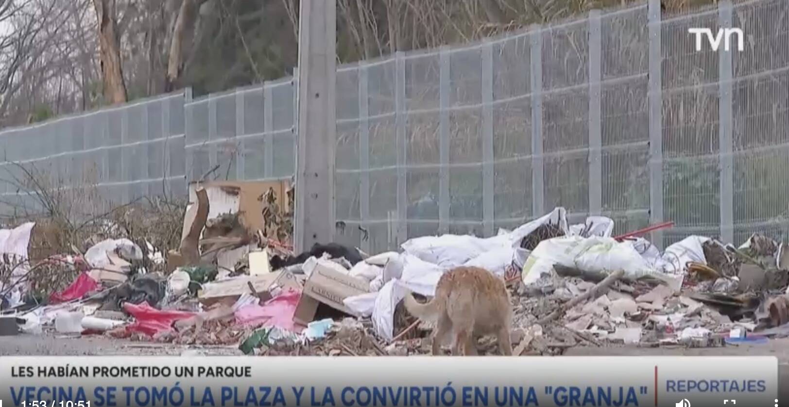 PRENSA I Vecina de Estación Central se toma plaza y la convierte en granja: le habían prometido un parque